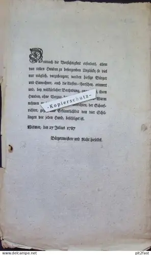 altes Dokument - Wismar , 1787 , Scharfrichter gegen Toll-Wurm bei Hunden , Tollwut !!