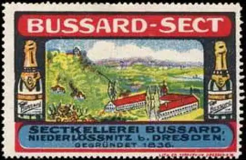 Bussard - Sekt