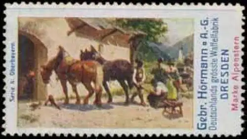 Oberbayern mit Pferd