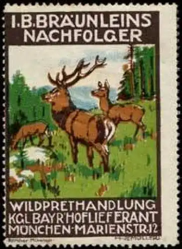 Jagd - Wildbrethandlung