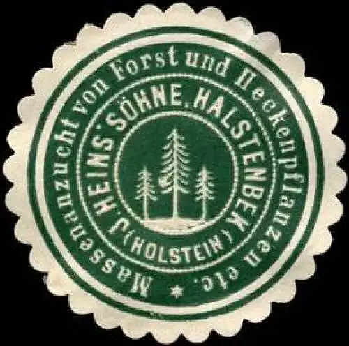 Massenanzucht von Forst und Heckenpflanzen etc. J. Heins SÃ¶hne-Halstenbek (Holstein)