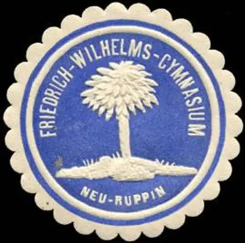 Friedrich - Wilhelms - Gymnasium - Neu - Ruppin