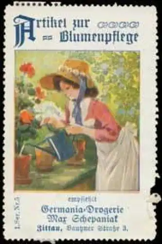 Artikel zur Blumenpflege