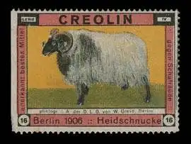 Heidschnucke Schaf - Creolin