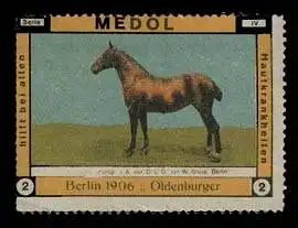 Medol - Oldenburger Pferd