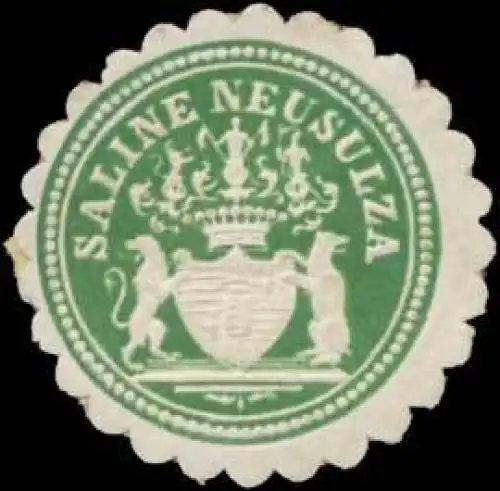 Saline-Neusulza