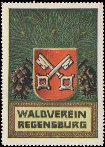 Kiefernzapfen Waldverein