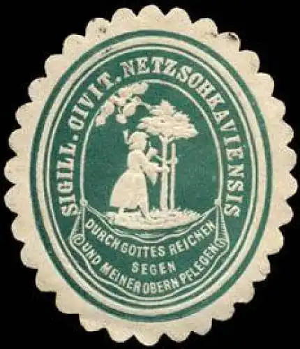 Sigillum Civitatis Netzschkaviensis