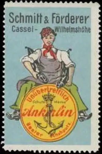 Ankerlin bester Schuhputz