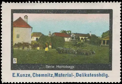 Schafe in Hortobagy