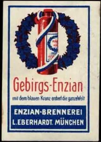 Gebirgs-Enzian