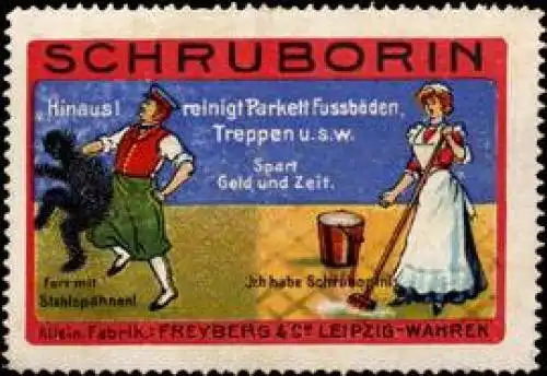 Parkett-Reinigung Schruborin