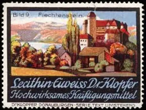 Burg Fiechtenstein