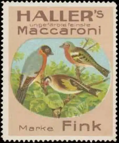 Haller Maccaroni (Nudeln)