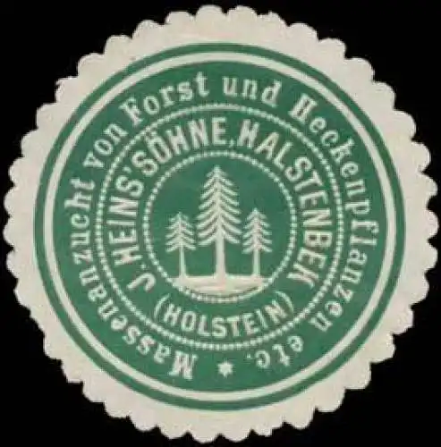 Massenanzucht von Forst und Heckenpflanzen etc. J. Heins SÃ¶hne-Halstenbek (Holstein)