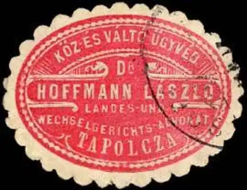 Landes- und Wechselgerichts-Advocat Dr. Hoffmann Laszlo - Tapolcza