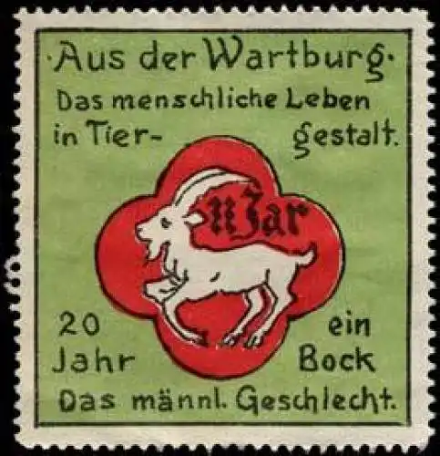 20 Jahr ein Bock