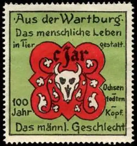 100 Jahr Ochsentodtenkopf
