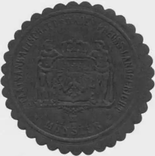 Staatsanwaltschaft b.d. K.Pr. Landgericht MÃ¼nster/Westfalen