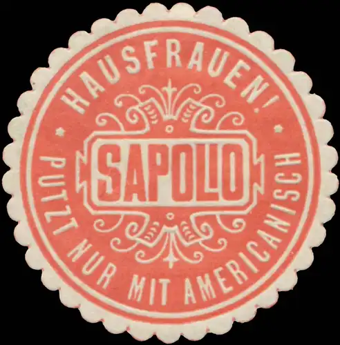 Hausfrauen putzt nur mit americanisch Sapolio