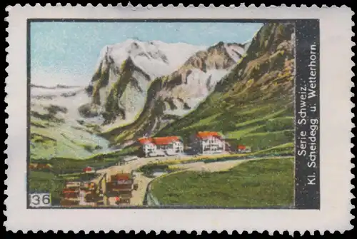 Kl. Scheidegg und Wetterhorn