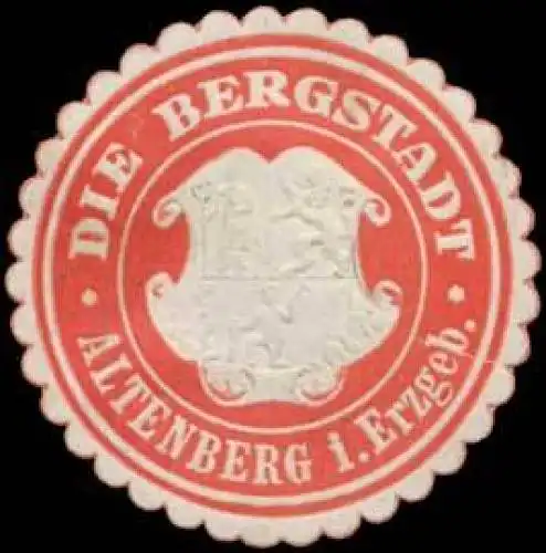 Die Bergstadt Altenberg/Erzgebirge