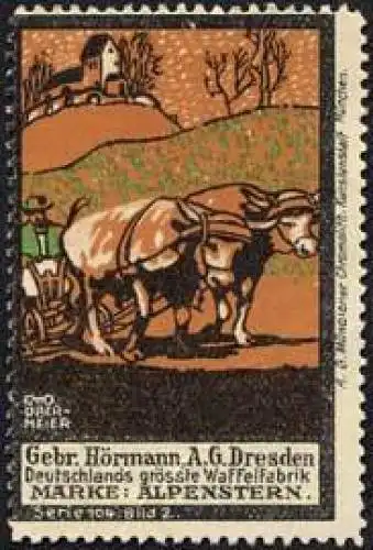 Bauer mit Ochsengespann