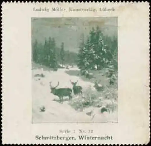 Winternacht