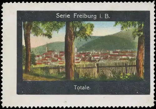 Totale von Freiburg