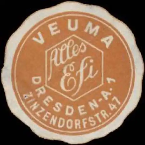 Veuma-Alles Efi - Staubsauger