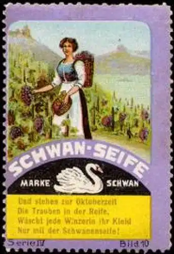 Wein-Lese mit Schwan - Seife