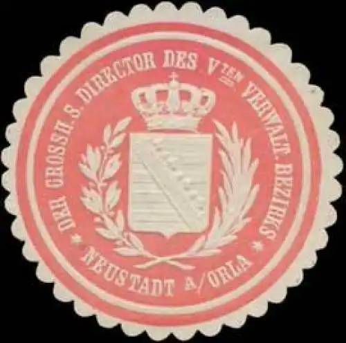 Der Gr. S. Director des Vten Verwaltungsbezirks-Neustadt an der Orla