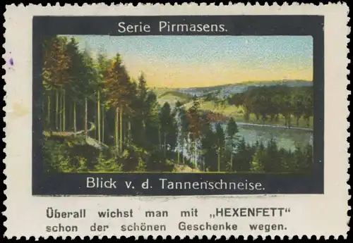 Pirmasens Blick von der Tannenschneise