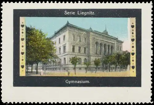 Gymnasium