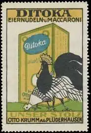 Ditoka Eiernudeln