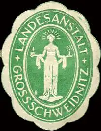 Landesanstalt - Grossschweidnitz