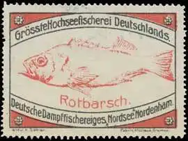 Rotbarsch - Fisch
