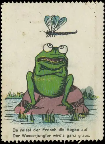 Da reisst der Frosch die Augen auf