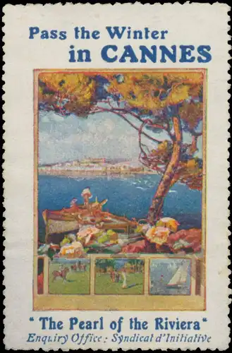 Pass the Winter in Cannes