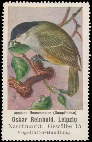 Gemeine Nonnenmeise - Sumpfmeise