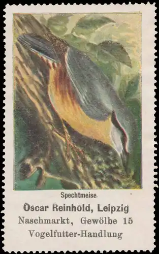 Spechtmeise