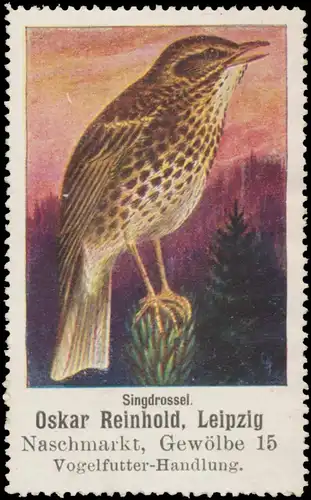 Singdrossel