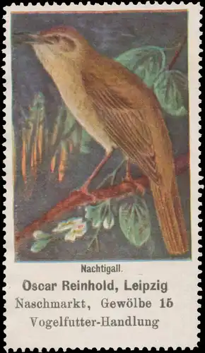 Nachtigall