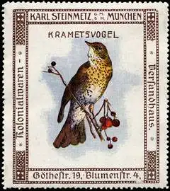 Krametsvogel