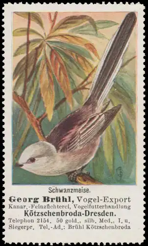 Schwanzmeise