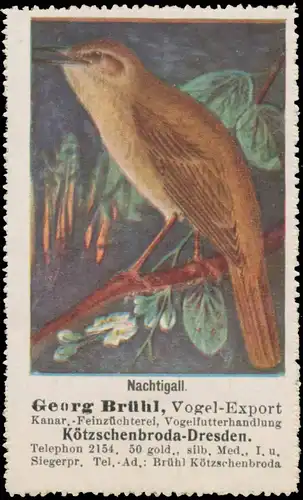 Nachtigall