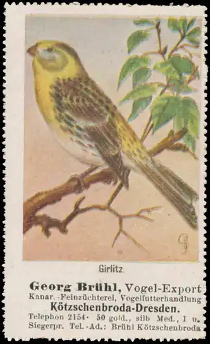 Girlitz