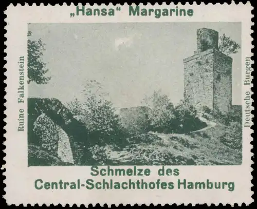 Ruine Falkenstein