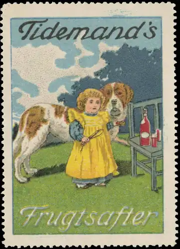 Tidemands Frugtsafter