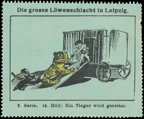 Ein Tiger wird gerettet